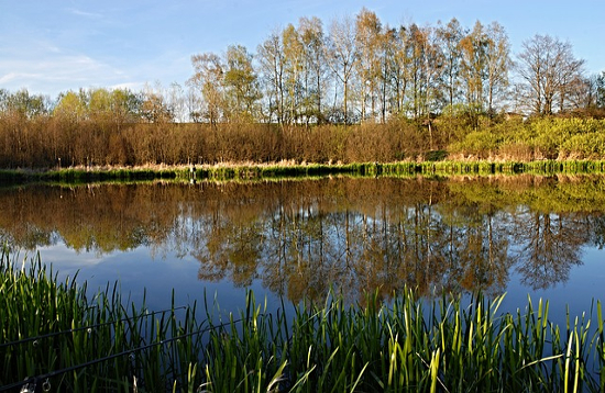 Where to fish in Wrexham