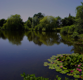 Places to fish in Chester, Cheshire