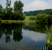 Places to fish in Deeside and Flintshire