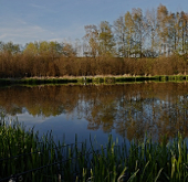 Local fisheries in Wrexham