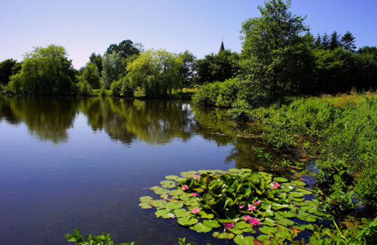 Where to Fish in Cheshire