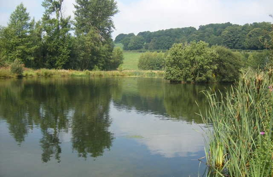 Wal Goch Fishing, Nannerch, Flintshire